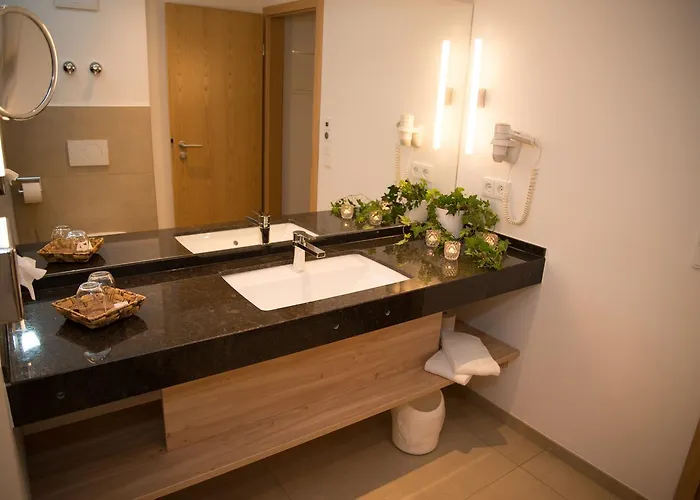 酒店 Schoiner See-hotel, Garni 3*