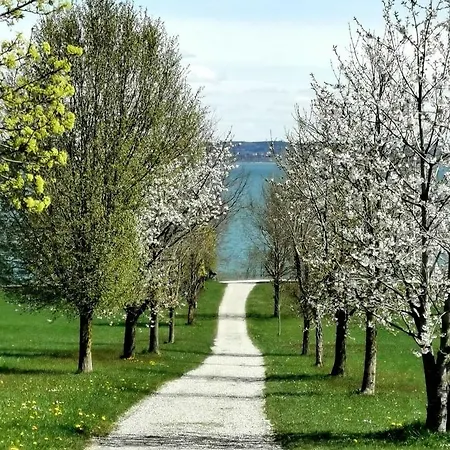 Schoiner See-hotel, Garni Gstadt am Chiemsee